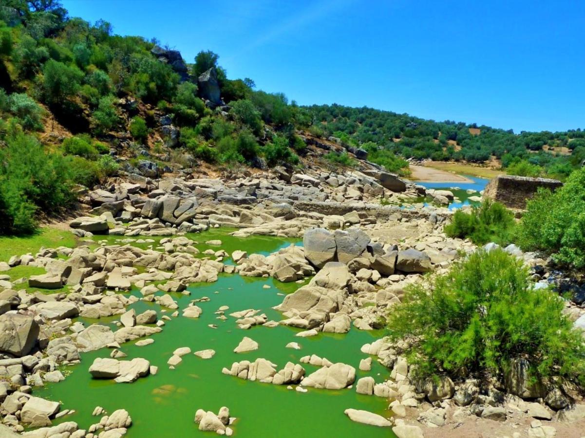 6 Persoons Vakantiewoning Portugal - Casa Do Balao - En - Casa Pequeno Pintor Figueira e Barros Exteriör bild